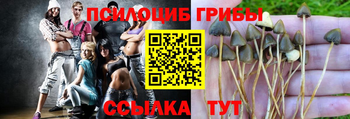 Назрань  Галлюциногенные грибы Psilocybine cubensis  купить наркотики сайты  Псилоцибиновые грибы мухоморы  Вход с VPN 